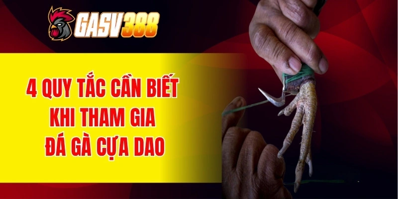 4 quy tắc cần biết khi tham gia đá gà cựa dao
