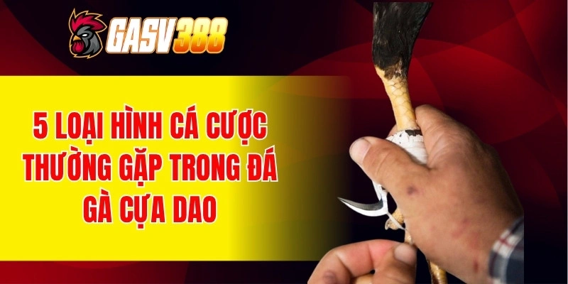 5 loại hình cá cược thường gặp trong đá gà cựa dao