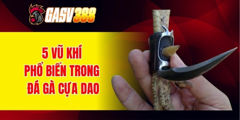 5 vũ khí phổ biến trong đá gà cựa dao