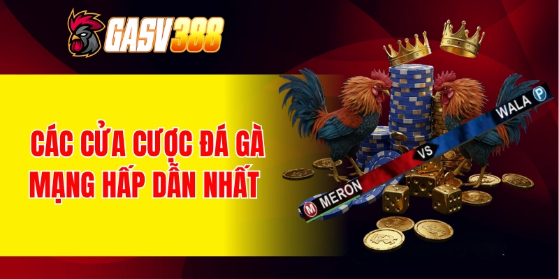 Các cửa cược đá gà mạng hấp dẫn nhất
