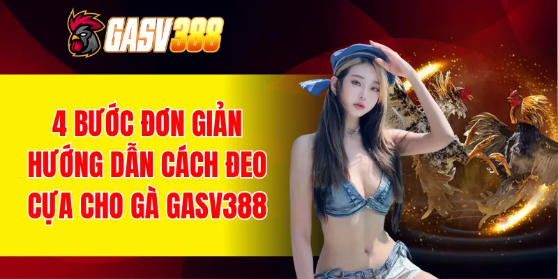 cách đeo cựa cho gà