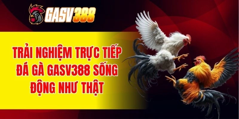 Chất lượng hình ảnh âm thanh nâng trải nghiệm đá gà trực tiếp GASV388