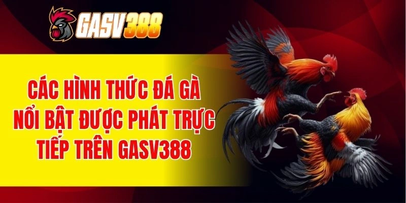 Đa dạng thể loại đá gà hấp dẫn cho người chơi lựa chọn