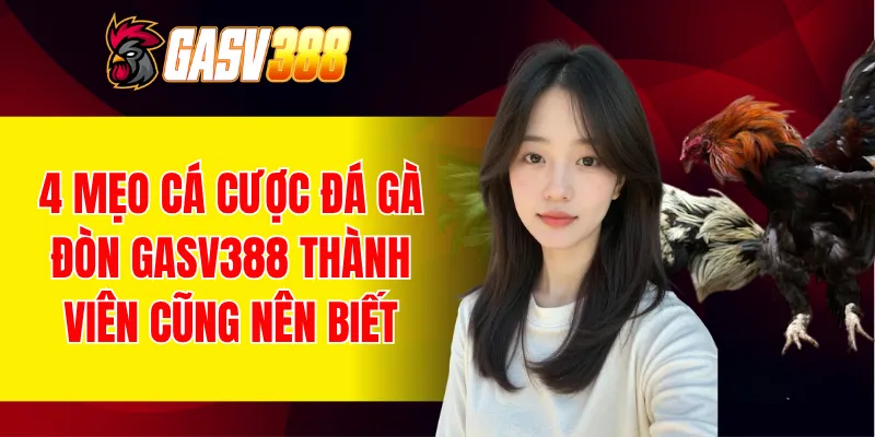 đá gà đòn