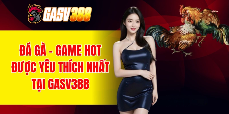 Đá gà - Game hot được yêu thích tại nhà cái GASV388