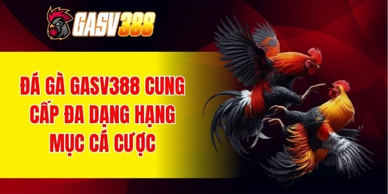 Đá gà GASV388 cung cấp đa dạng hạng mục cá cược