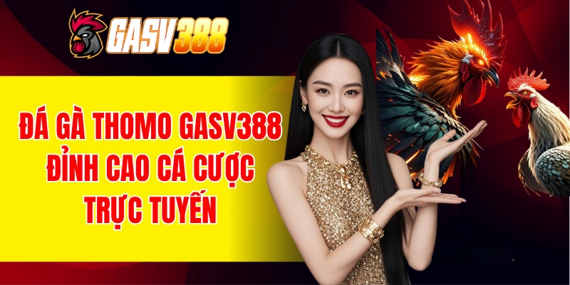 đá gà thomo