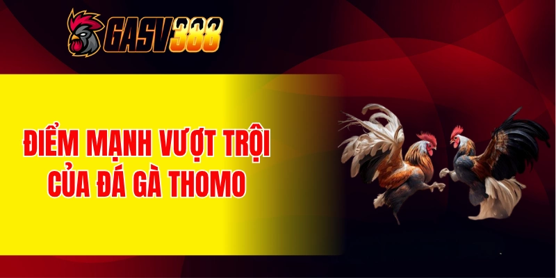 Điểm mạnh vượt trội của đấu trường đá gà Thomo