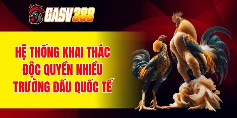 Hệ thống khai thác độc quyền nhiều trường đấu quốc tế