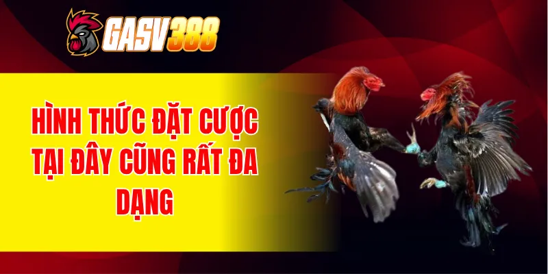 Hình thức đặt cược tại đây cũng rất đa dạng
