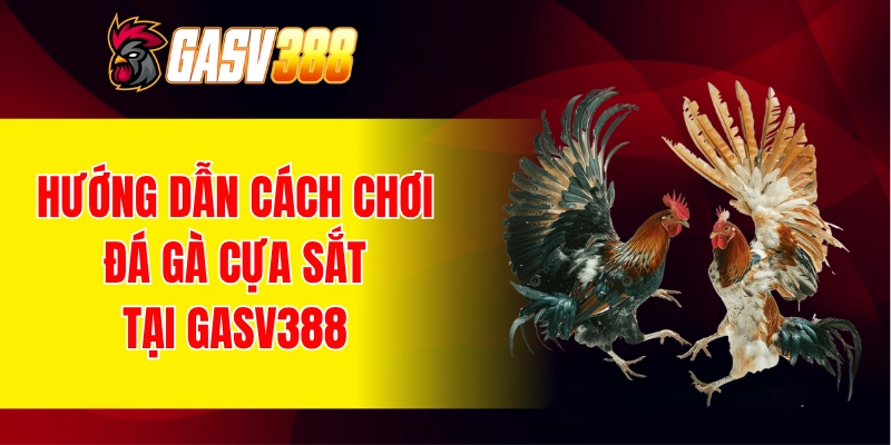 Hướng dẫn cách tham gia cá cược cùng đá gà cựa sắt tại GASV388