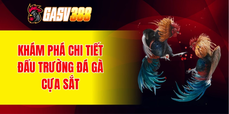 Khám phá về đấu trường đá gà cựa sắt GASV388