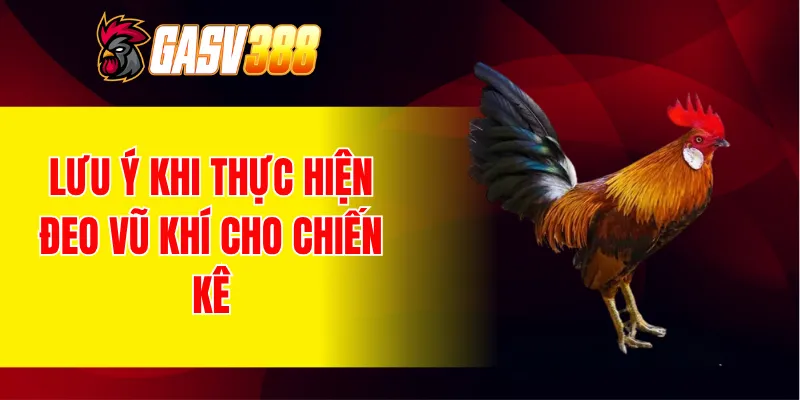 Lưu ý khi thực hiện đeo vũ khí cho chiến kê
