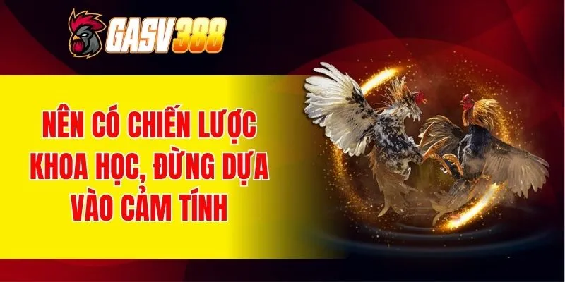 Nên có chiến lược khoa học, đừng dựa vào cảm tính