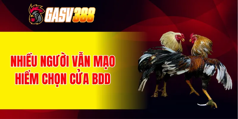 Nhiều người vẫn mạo hiểm chọn cửa BDD