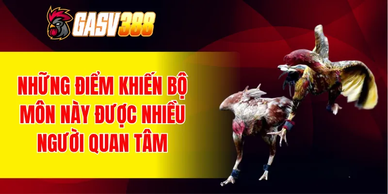 Những điểm khiến bộ môn này được nhiều người quan tâm