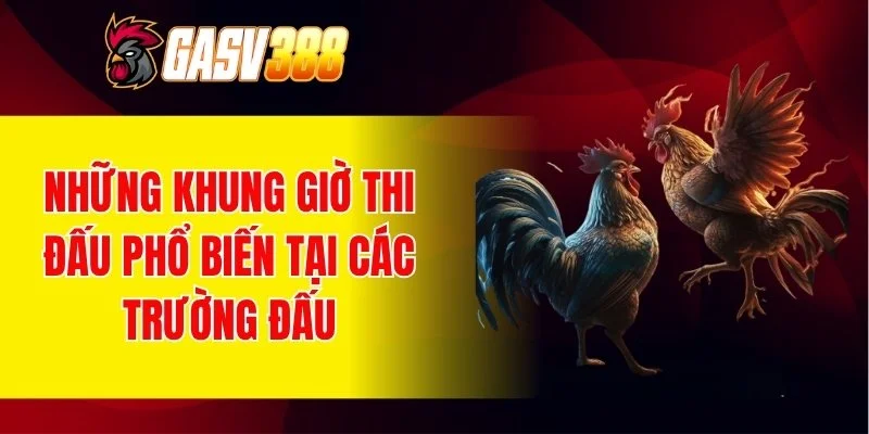 Những khung giờ thi đấu phổ biến tại các trường đấu