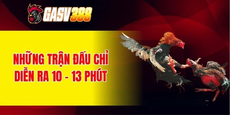 Những trận đấu tại đây chỉ diễn ra 10 - 13 phút