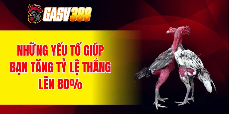 Những yếu tố giúp bạn tăng tỷ lệ thắng lên 80%