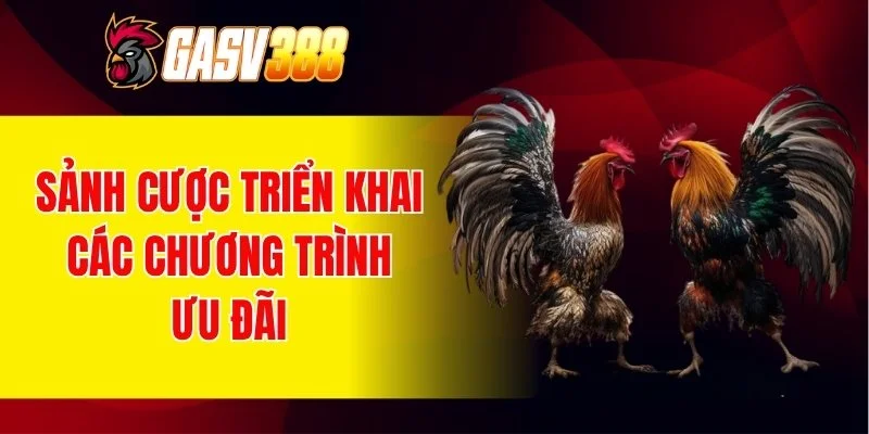 Sảnh cược triển khai các chương trình ưu đãi