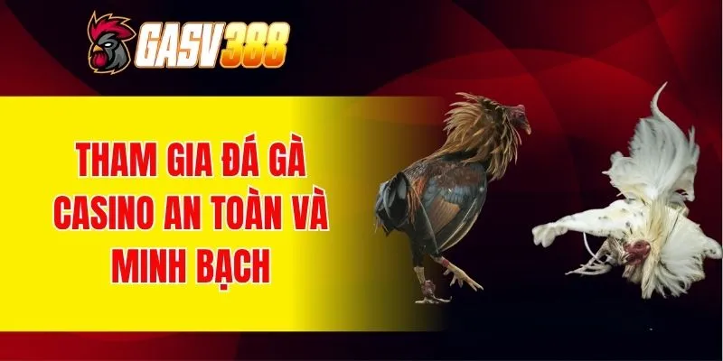 Tham gia đá gà casino an toàn và minh bạch