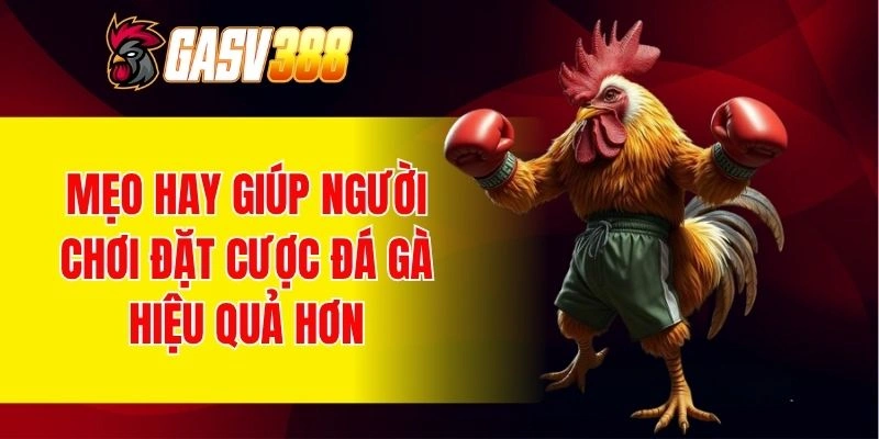 Tối ưu hóa tỷ lệ thắng cược với chiến thuật đúng