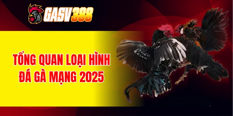 Tổng quan loại hình đá gà mạng 2025