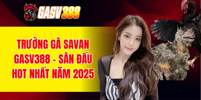 trường gà savan